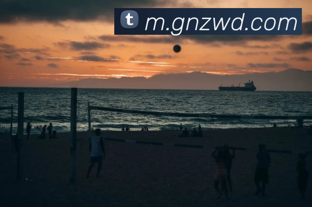 问鼎28平台生态图