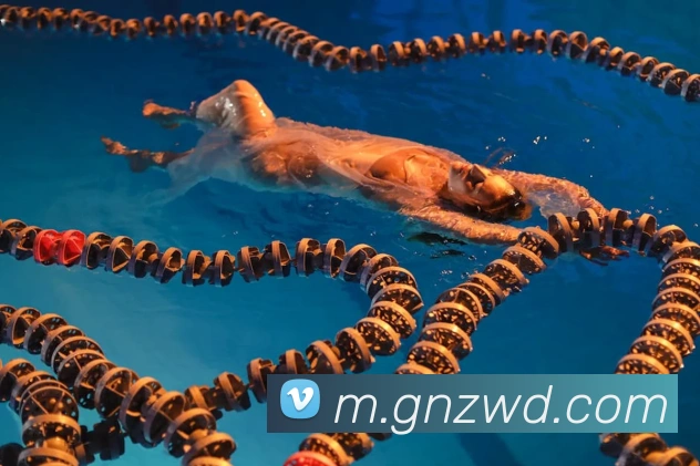 问鼎28全站App 问鼎28全站App